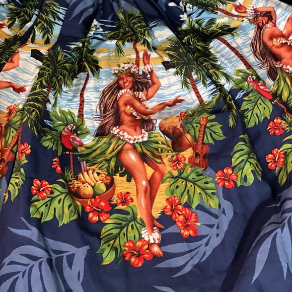 Vintage Hawaiian traditional hula skirt with hula dancer. One size super cute - Picture 2 of 5